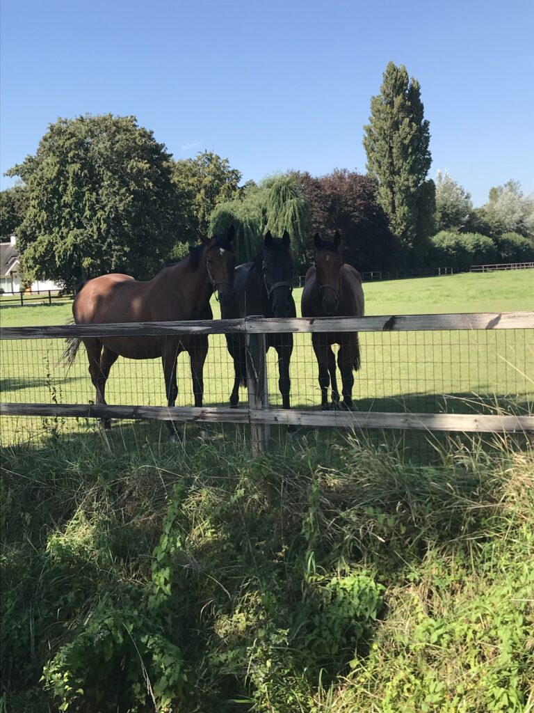 Hoe ervaar ik de epilepsie en hoe ga ik daarmee om?